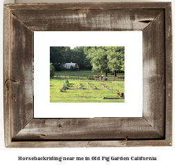 horseback riding near me in Old Fig Garden, California